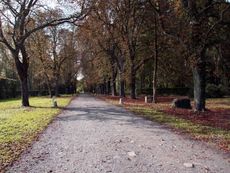 B-Herbststimmung 023.jpg